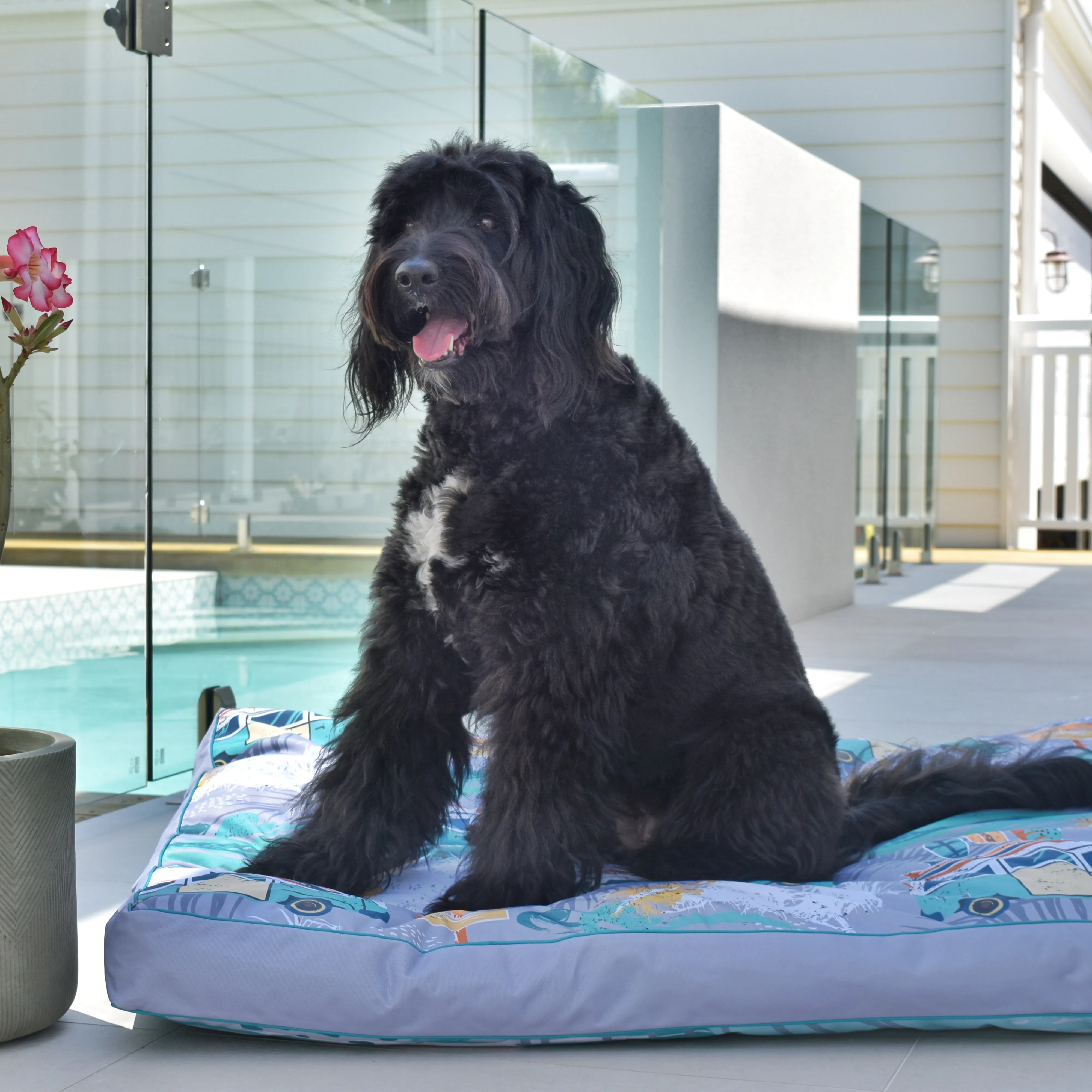 Byron Surf Water-Resistant - XXL Dog Bed