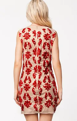 Decorative Embroidery Dress